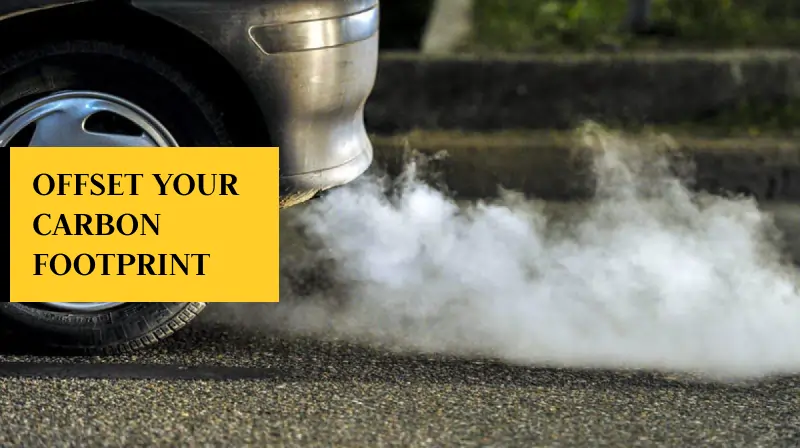 Offset Your Carbon Footprint