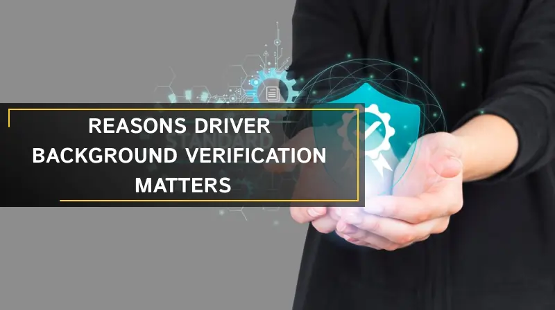 Reasons Driver Background Verification Matters