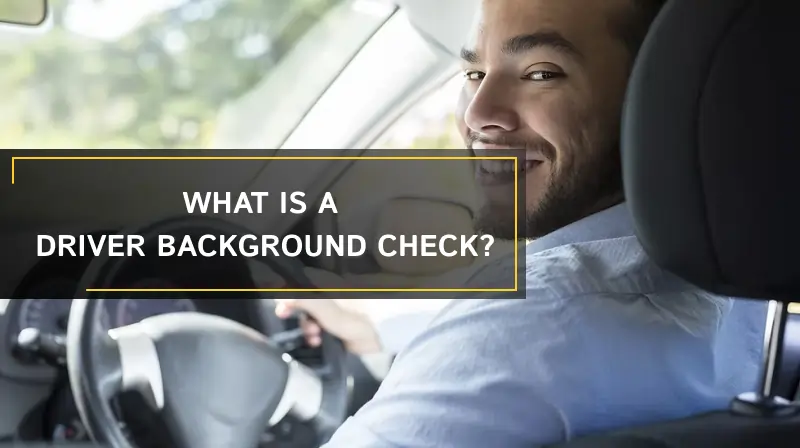 What is a Driver Background Check